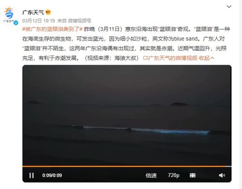 湛江天气（湛江天气微博）