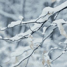河北邯郸天气预报，明日多云转晴，气温回升宜出行