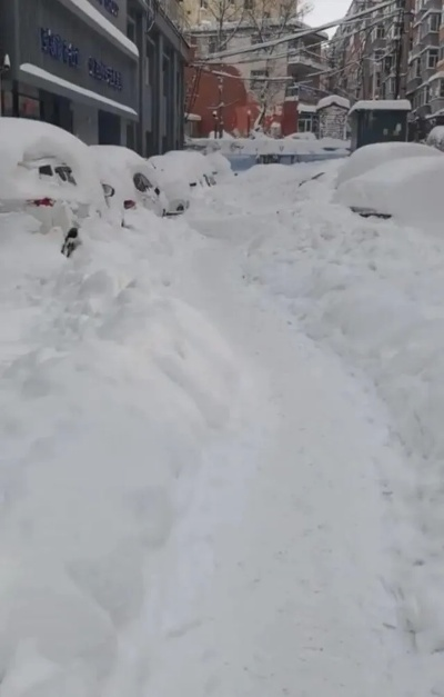 黑龙江暴雪天气最新动态,多地积雪超30厘米,交通受阻,应急响应升级 黑龙江暴雪天气最新动态,多地积雪超30厘米,交通受阻,应急响应升级