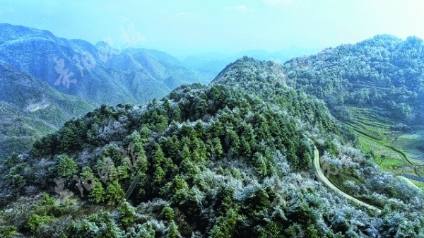 贵州天气预报,一场与山间云雾的温柔对话 贵州天气预报,一场与山间云雾的温柔对话