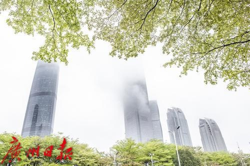 广州今日天气，雨雾交织中的城市脉搏
