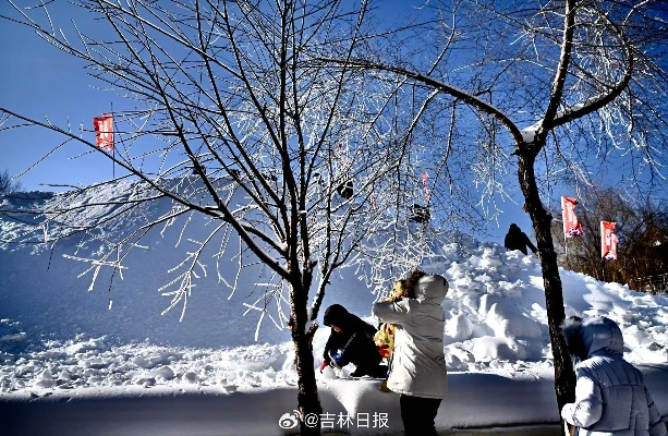 北国春城的天气絮语，在寒暑交织中感受长春的四季温度
